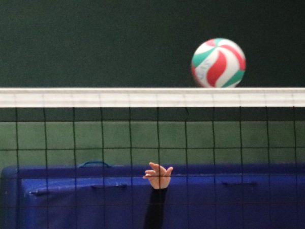 Banner-SVD-volleyball-m